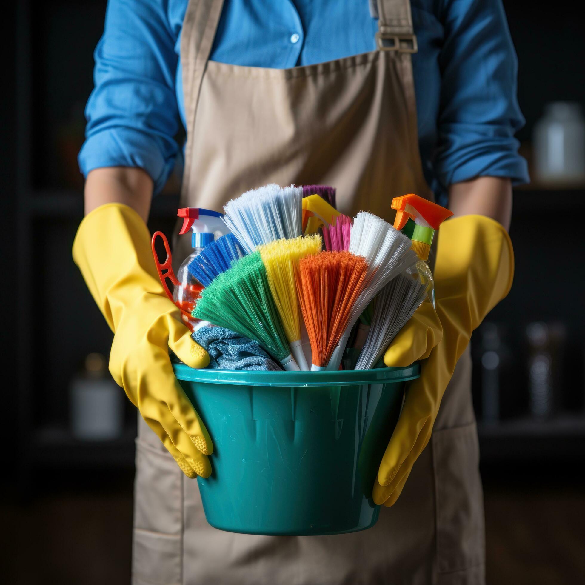 Domestic Cleaning